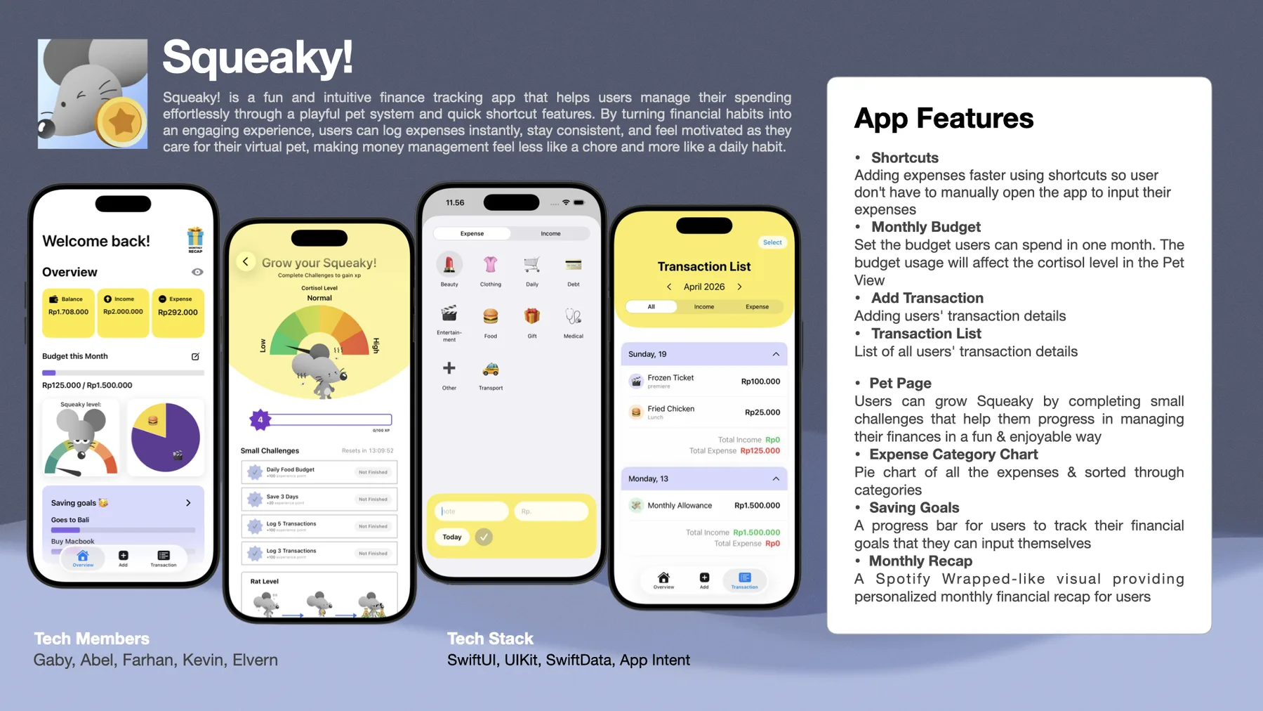Squeaky finance prototype interface overview